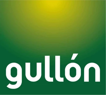 Case study gullon
